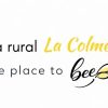 logo-colaboradora
